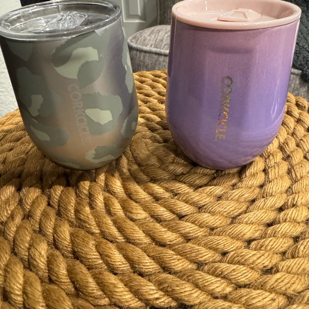 Corkcicle Gray and Purple Drinkware Collection